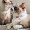 GENTLE PURR Lite Cat Collar in Taro