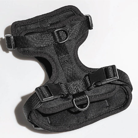 Harness in Black<br><span style="color: #D47E26;">Happy Halloween</span>