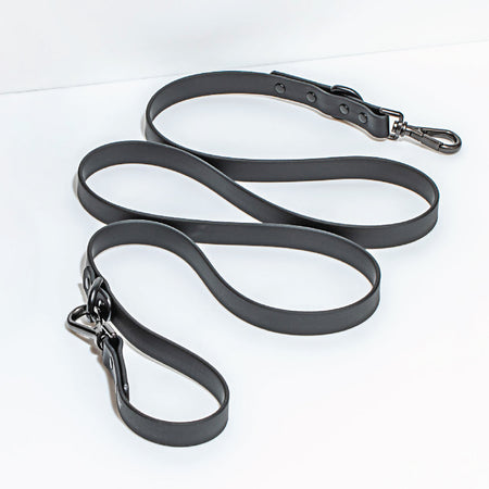 Leash in Black<br><span style="color: #D47E26;">Happy Halloween</span>