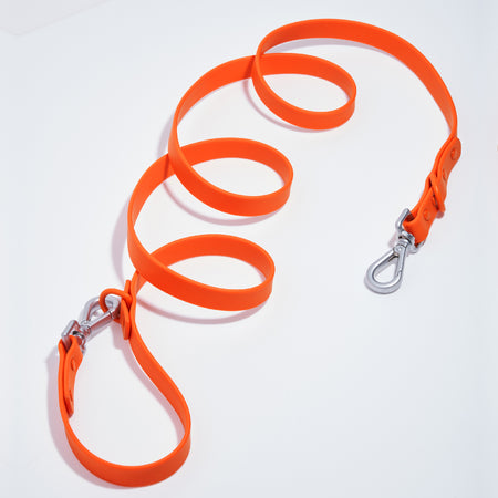 Leash in Blaze <br><span style="color: #D47E26;">Happy Halloween</span>