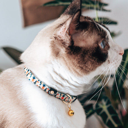 Cat Collar in Aloha Alice