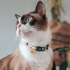 GENTLE PURR Cat Collar in Aloha Alice