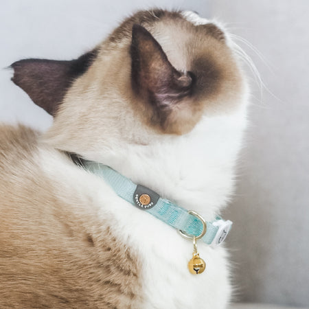 Cat Collar in Pistachio