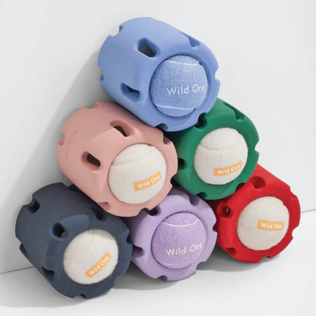 WILD ONE Tennis Tumble Dog Toy