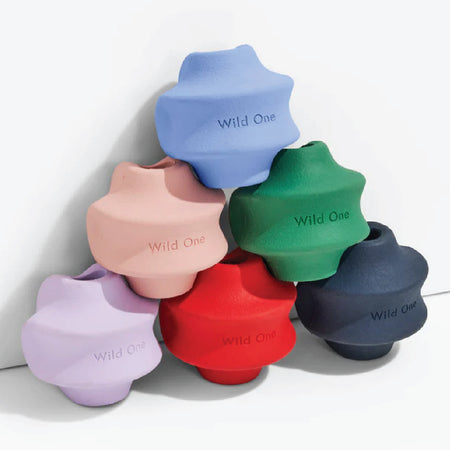 Wild One Twist Toss in All Colors Dog Toy