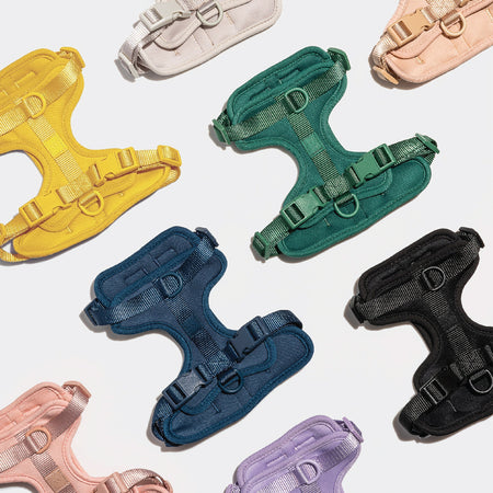 WILD ONE Dog Harness