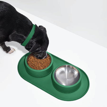 WILD ONE Mealtime Kit Pet Bowl and Placemat