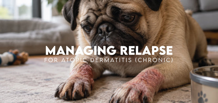 Managing Relapse for Atopic Dermatitis (Chronic)