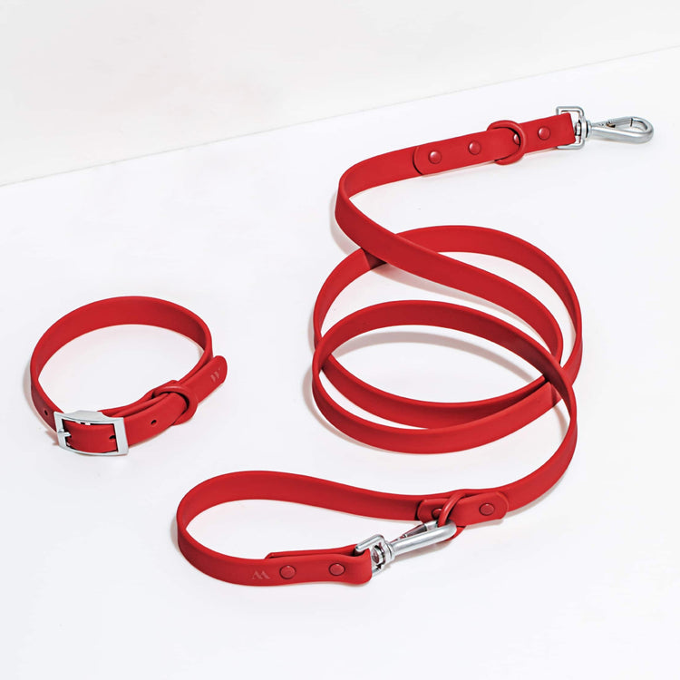 Collar + Leash in Strawberry<br><span style="color: #D47E26;">for a limited period of time</span>