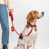 Collar + Leash in Strawberry<br><span style="color: #D47E26;">for a limited period of time</span>