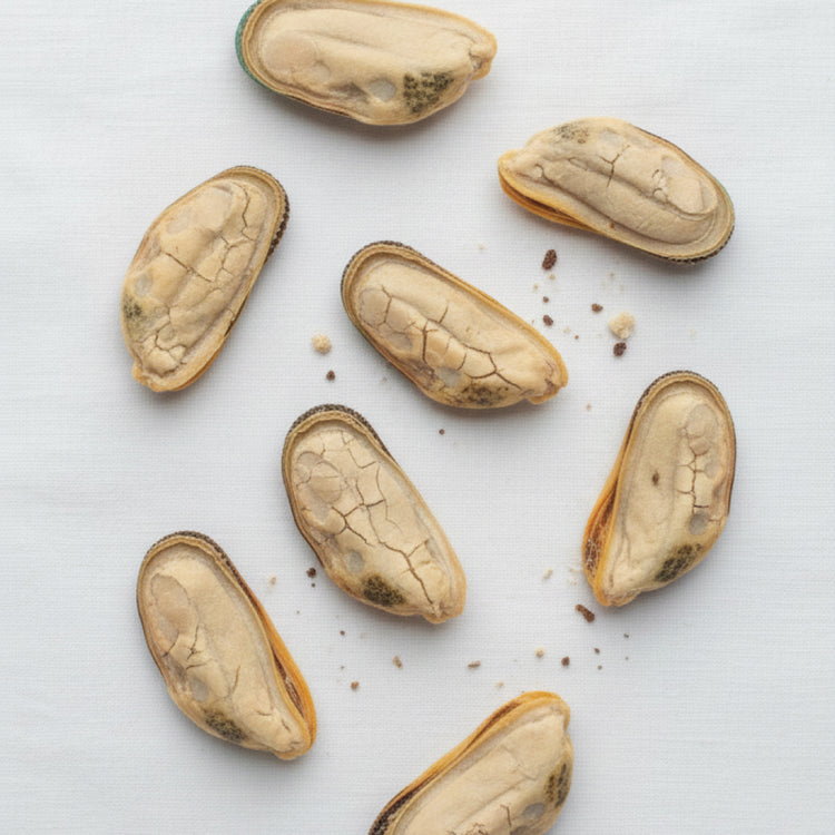 Green Lipped Mussels 50g