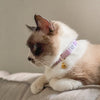 GENTLE PURR Lite Cat Collar in Taro