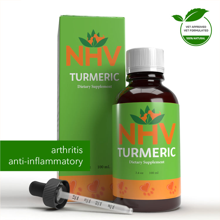 Turmeric 100mL