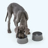 Bowl<br><span style="color: #D47E26;">heavy, non-slip</span>