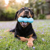 Rumpus<br><span style="color: #D47E26;">toughest for super chewer</span>