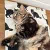 FUND-RAISER PROJECT Cat Theme Lounge Mat