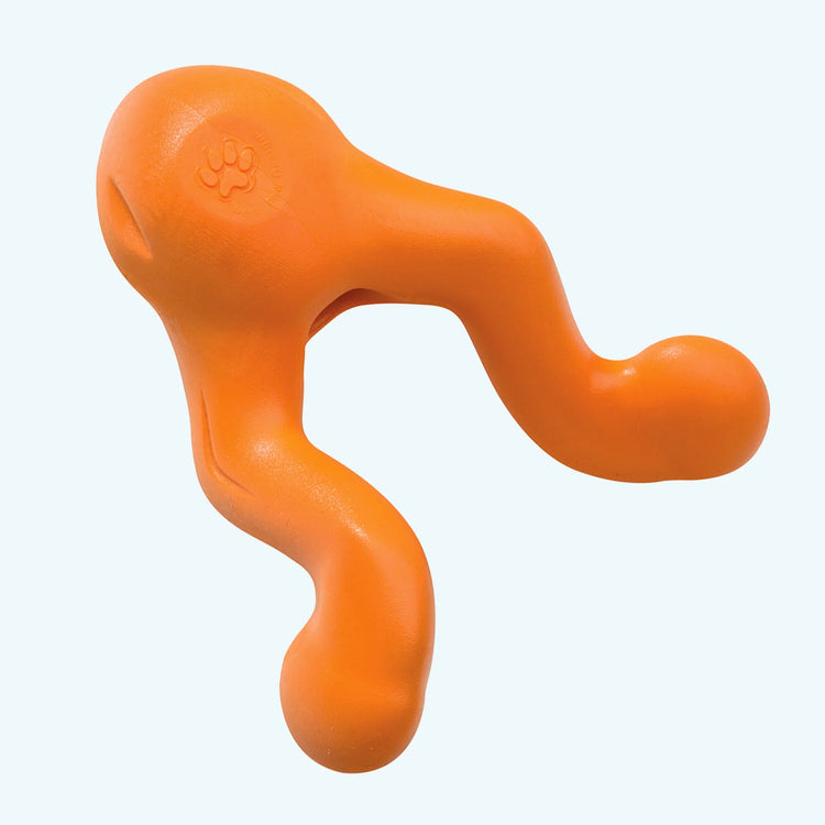 Tizzi<br><span style="color: #D47E26;">puzzle / fetch</span>