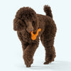 Tizzi<br><span style="color: #D47E26;">puzzle / fetch</span>