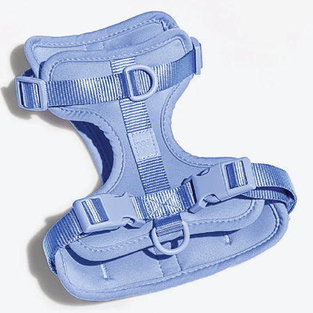 Harness in Moonstone<br><span style="color: #D47E26;">for a limited period of time</span>