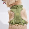 WILD ONE Harness in Moss, and more colors