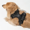 Harness in Black<br><span style="color: #D47E26;">Happy Halloween</span>
