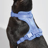 Harness in Moonstone<br><span style="color: #D47E26;">for a limited period of time</span>
