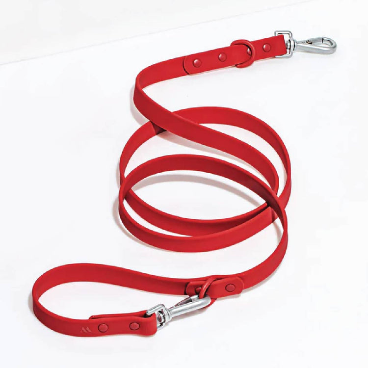 Leash in Strawberry<br><span style="color: #D47E26;">for a limited period of time</span>