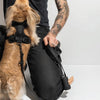 Leash in Black<br><span style="color: #D47E26;">Happy Halloween</span>