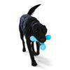 Skamp<br><span style="color: #D47E26;">fetch / tug</span>