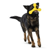 Skamp<br><span style="color: #D47E26;">fetch / tug</span>