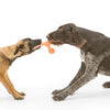 Skamp<br><span style="color: #D47E26;">fetch / tug</span>