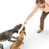 Skamp<br><span style="color: #D47E26;">fetch / tug</span>