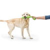 Zwig<br><span style="color: #D47E26;">fetch / tug</span>