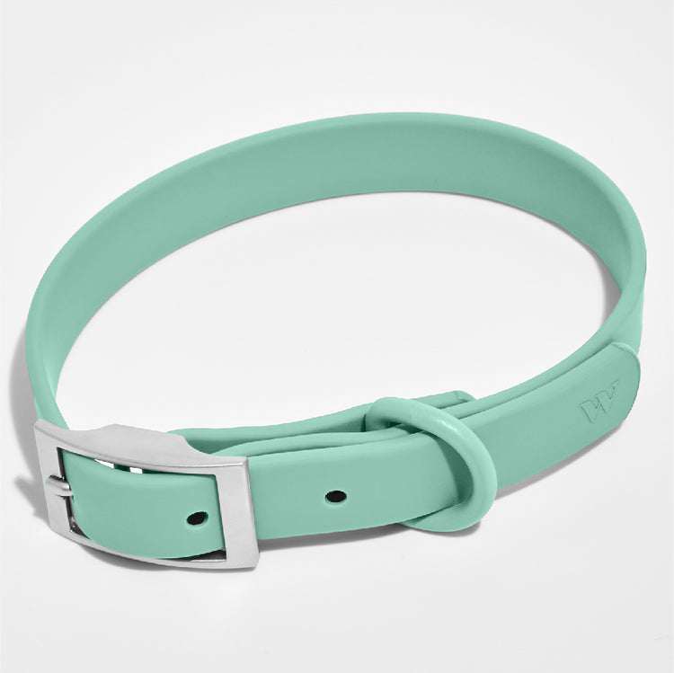 Harness Walk Kit in Seafoam<br><span style="color: #D47E26;">LATEST COLOR</span>