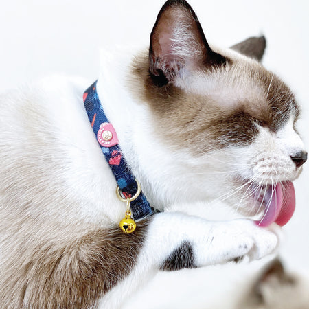 GENTLE PURR Cat Collar in Playful Polly