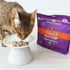 STELLA AND CHEWY'S Tummy Ticklin' Turkey Dinner Morsels - Grain Free Freeze Dried Raw Cat Food - 18OZ