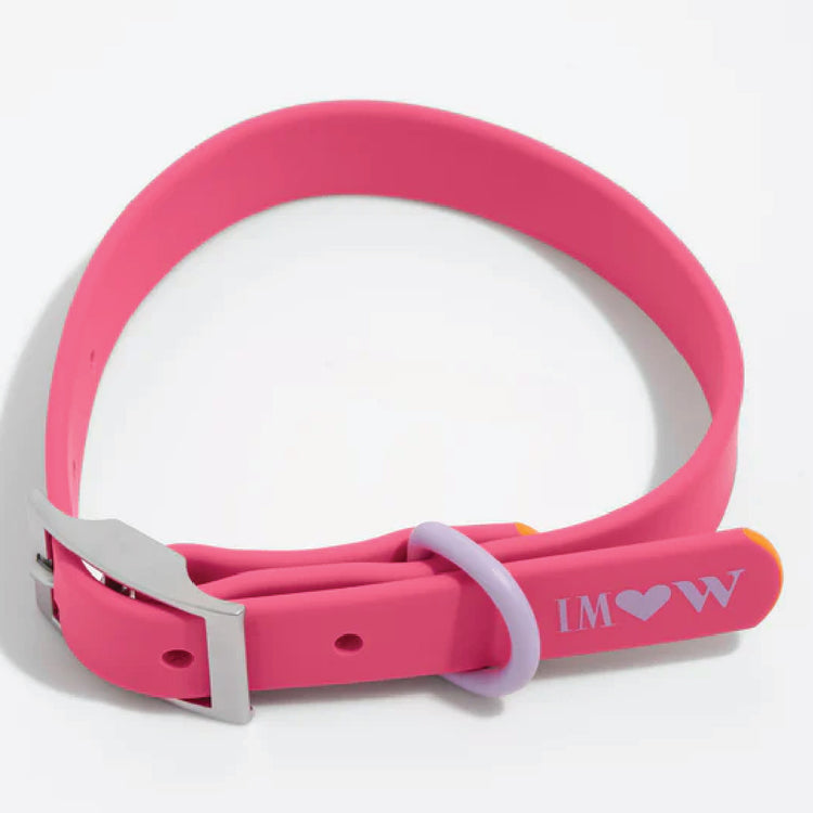 WILD ONE Pet Collar