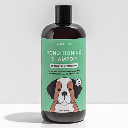 WILD ONE Conditioning Shampoo in Eucalyptus and Peppermint
