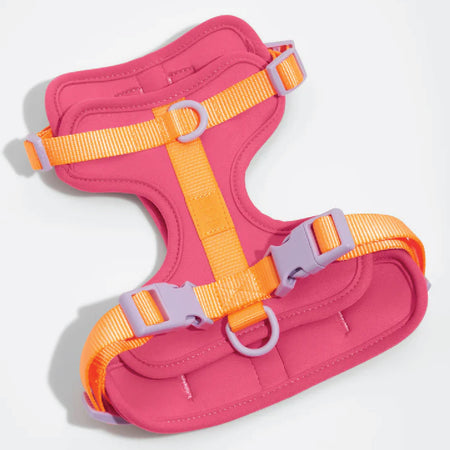 WILD ONE Dog Harness