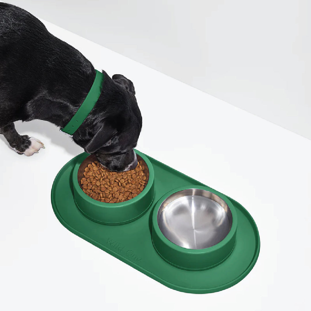 WILD ONE Mealtime Kit – TAILStore