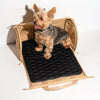 WILD ONE Travel Carrier in Tan Pet Carrier
