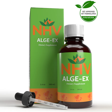 NHV ALGE-EX for Dogs, Cats, Rabbits and Birds - Dietary Supplement - 100ML